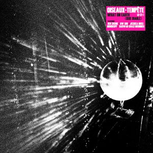  Oiseaux-Tempête - What On Earth (Que Diable) (CD)