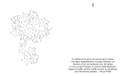 Rêverie, dans la pratique et dans ses formes