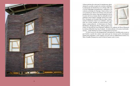 Rêverie, dans la pratique et dans ses formes