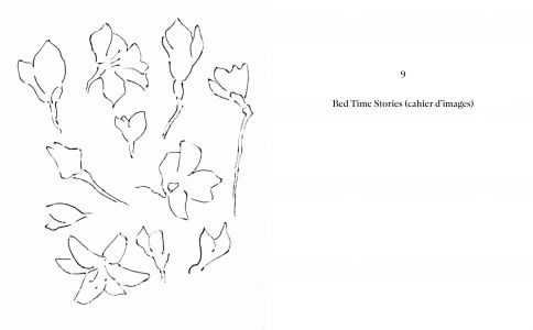 Rêverie, dans la pratique et dans ses formes