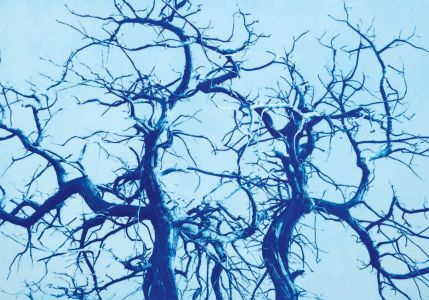 L'Adieu du Minotaure