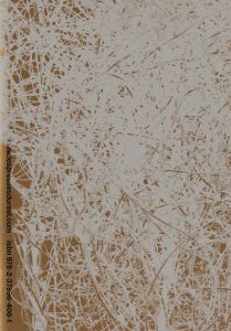 Inaudible, invisible