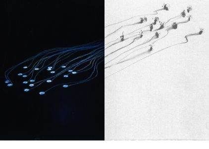 Inaudible, invisible