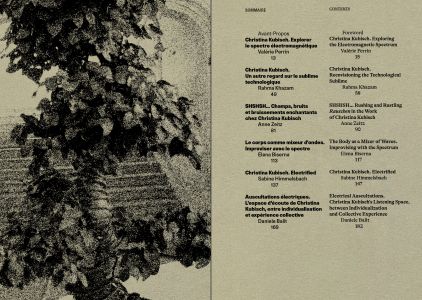 Inaudible, invisible