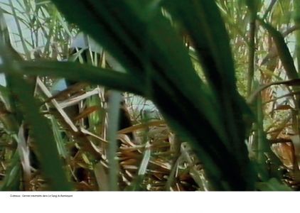 Conquête de l'espace et du temps