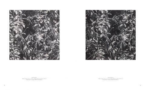 Of Ghostly Silences and Constant Yearnings