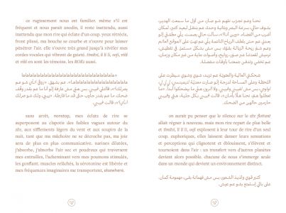 Étranges nébuleuses