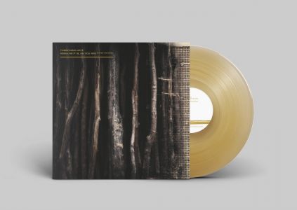 438Hz As It Is, As You Are / あるがまま、あなたのままに (vinyl LP)