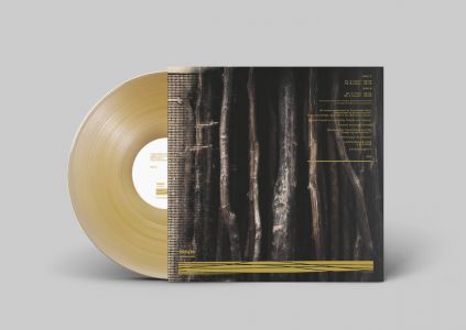 438Hz As It Is, As You Are / あるがまま、あなたのままに (vinyl LP)