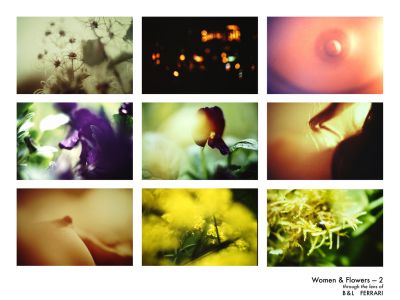 Through the lense of B&L Ferrari