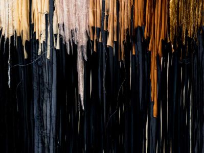 Our Land Just Like A Dream