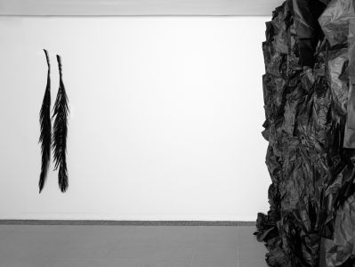 Our Land Just Like A Dream