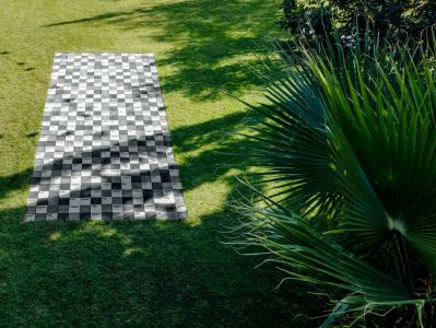 Our Land Just Like A Dream