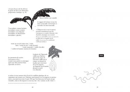 La langue du garçon