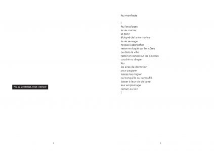 La langue du garçon