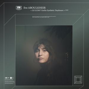 22/12/2017 Guilin Synthetic Daydream / How to Avoid Ants (vinyl LP)