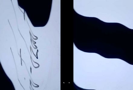 The Voice of the Valley (2016-2022)