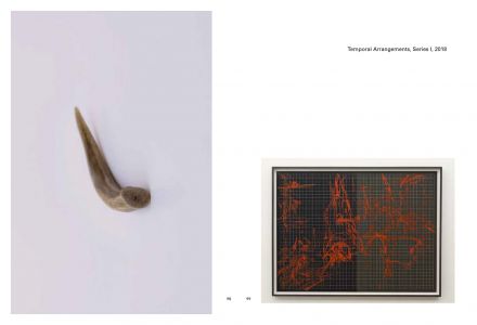 The Voice of the Valley (2016-2022)