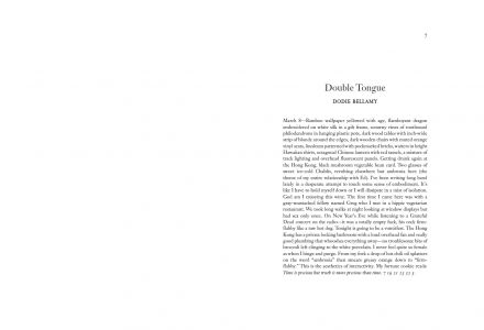 The Voice of the Valley (2016-2022)