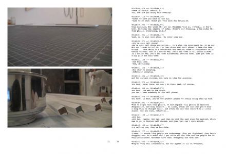 The Voice of the Valley (2016-2022)