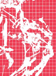 The Voice of the Valley (2016-2022)