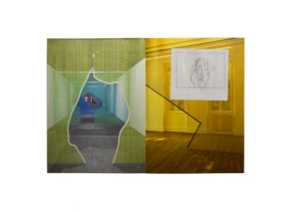 A Leaf Shapes the Eye