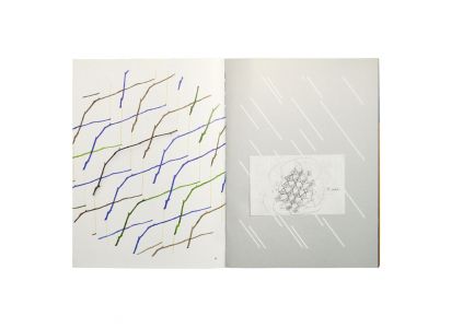 A Leaf Shapes the Eye