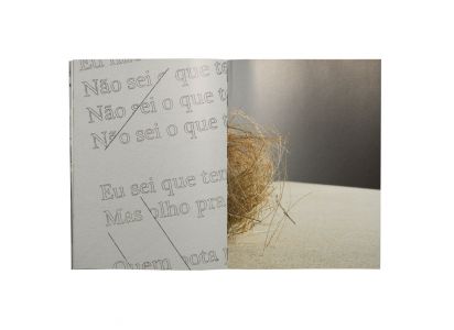 A Leaf Shapes the Eye