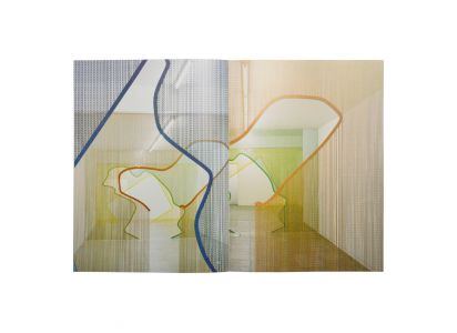 A Leaf Shapes the Eye