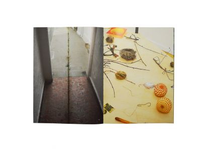 A Leaf Shapes the Eye