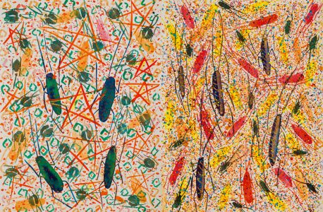 A Rare Gift of the Tropics