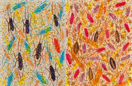 A Rare Gift of the Tropics