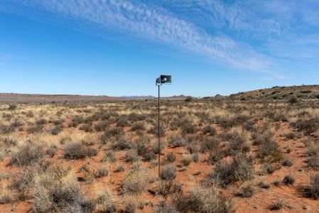 Desert Dictionary (vinyl LP)
