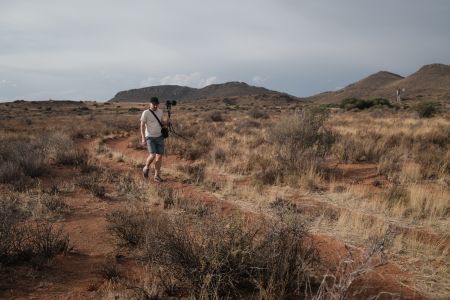 Desert Dictionary (vinyl LP)