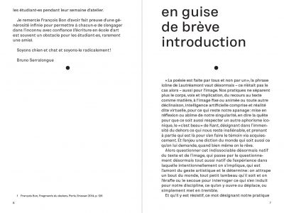 Voilà ce que mes yeux voient