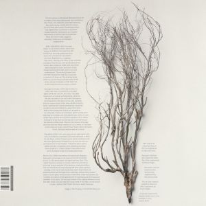 Woodwind Multiples (vinyl LP)