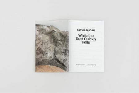 While the Dust Quickly Falls