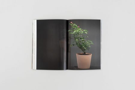 While the Dust Quickly Falls