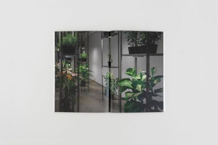 While the Dust Quickly Falls