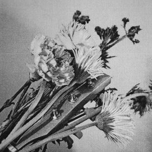 For Lovers Only / Rain Suite (vinyl LP)