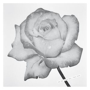  SG<!----> - For Lovers Only / Rain Suite (vinyl LP)