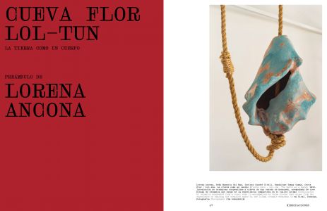 Hibridaciones / Hybridizations