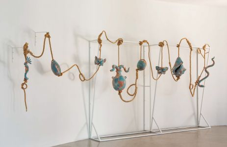 Hibridaciones / Hybridizations