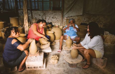 Hibridaciones / Hybridizations