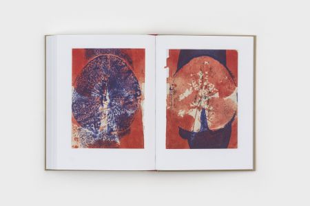 Diario de Plantas (2 volumes)