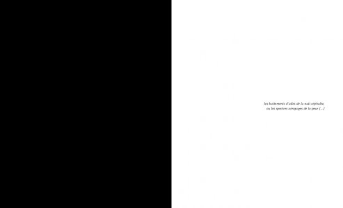 Les guerres polaires, suivi de Les Chauffes de sang