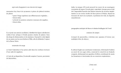 Les guerres polaires, suivi de Les Chauffes de sang