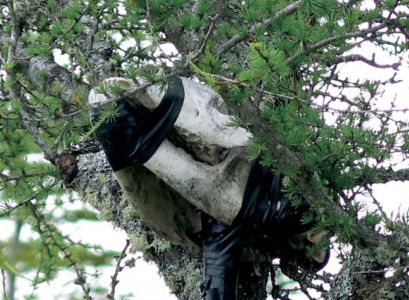 Douze horizons (livre + CD)