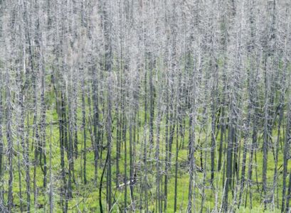 Douze horizons (livre + CD)