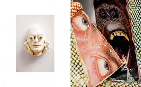 Les fossiles du futur